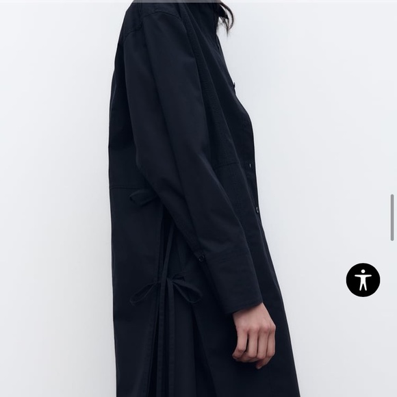 Zara Voluminous Poplin Dress - Picture 8 of 10